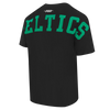 Mens Boston Celtics Wingspan T-Shirt