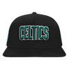 Mens Boston Celtics Wingspan Snapback Cap