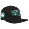 Mens Boston Celtics Wingspan Snapback Cap