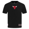 Mens Chicago Bulls Wingspan T-Shirt