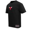 Mens Chicago Bulls Wingspan T-Shirt