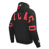 Mens Chicago Bulls Wingspan Fleece Hoodie