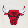 Mens Chicago Bulls Paradise Rib Satin Jacket