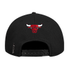 Mens Chicago Bulls Wingspan Snapback Cap