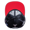 Mens Chicago Bulls Wingspan Snapback Cap