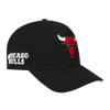 Mens Chicago Bulls Classic Logo Snapback Cap
