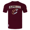 Mens Cleveland Cavaliers Split Logo T-Shirt
