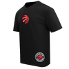 Mens Toronto Raptors Wingspan T-Shirt