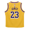 Toddler Los Angeles Lakers Lebron James Icon Replica Jersey Set