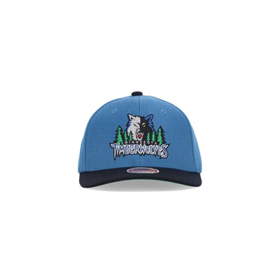 Minnesota Timberwolves Team 2 Tone 2.0 Stretch Snapback Cap