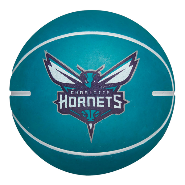 Charlotte Hornets NBA Dribbler Bouncy Ball