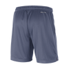 Mens Team 31 Standard Issue Training Shorts