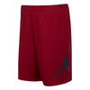 Kids Jumpman Wrap Mesh Shorts