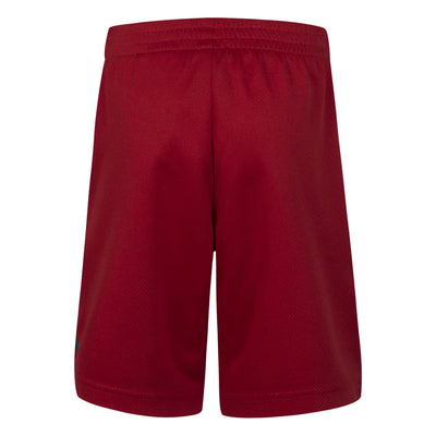 Kids Jumpman Wrap Mesh Shorts