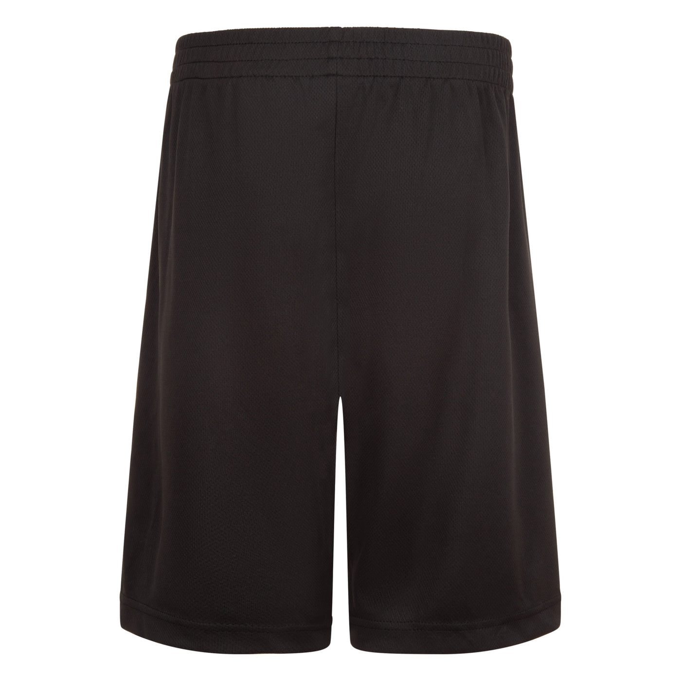 Boys Vert Mesh Shorts