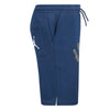 Boys MJ Flight Mvp Shorts