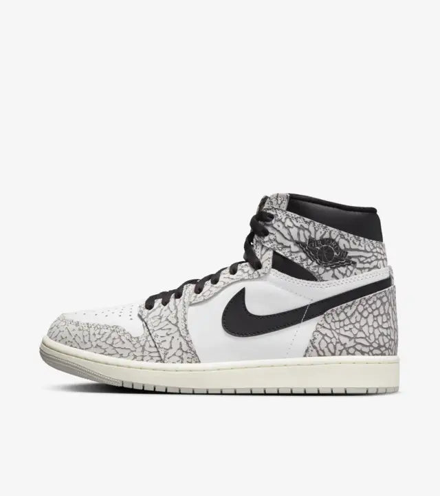 Mens Air Jordan 1 Retro High OG Shoe