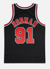Dennis Rodman Chicago Bulls &