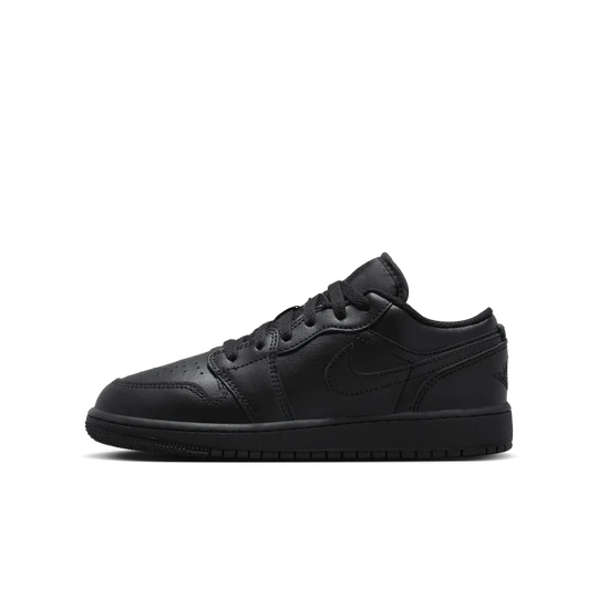 Mens AIR JORDAN 1 LOW Shoe