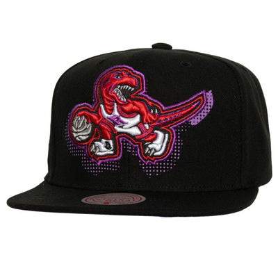 Toronto Raptors Big Face 7.0 HWC Cap